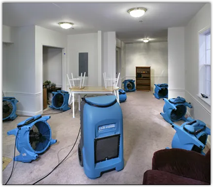 Water Damage Restoration services in Mesquite, TX