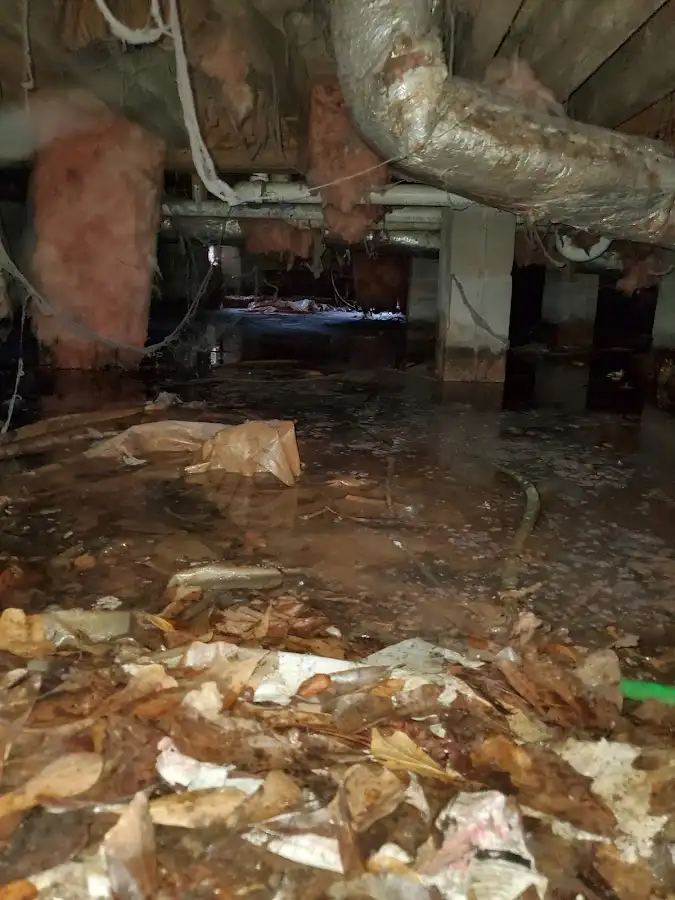 Crawl space flood assessment for Leak Detection & Repair in Mesquite